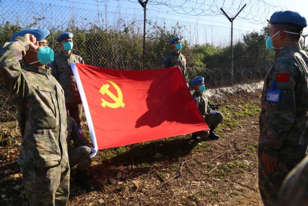 救援小棕兔